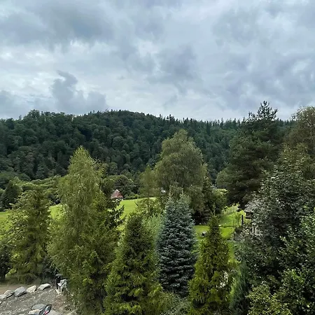 Penzion U Bernharda Affittacamere
